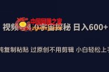 视频号4.0宇宙探秘，日入600多纯复制粘贴过原创不用剪辑小白轻松操作【揭秘】