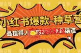 （7671期）2023小红书爆款-种树营，最有价值入局的站外流量方式（22堂课）