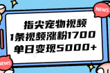 （12549期）指尖宠物视频，1条视频涨粉1700，单日变现5000+