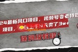 2024最新风口项目，视频号变老特效项目，电脑小白上手3天卖了3w+，保姆级教程【揭秘】