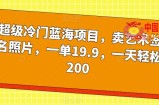 超级冷门蓝海项目，卖艺术签名照片，一单19.9，一天轻松200