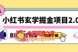 小红书玄学掘金项目，值得常驻的蓝海项目，日入3000+附带引流方法以及渠道【揭秘】