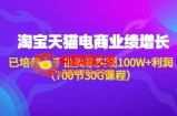 淘系天猫电商业绩增长：已培养上千位卖家实现100W+利润（700节30G课程）