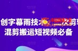 原创字幕雨技术，二次剪辑混剪搬运短视频必备【揭秘】