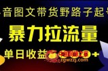 抖音图文带货暴力起号，单日收益5000+，野路子玩法，简单易上手，一部手机即可【揭秘】