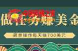 app赚钱项目：简单做任务赚美金，点击图片/文本，每天赚700美元