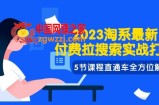 （7803期）2023淘宝·全新付钱拉检索实战演练玩法，5节课程淘宝直通车多方位分析