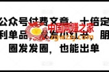 某公众号付费文章：十倍定价暴利单品，发发小红书，朋友圈发发圈，也能出单