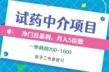 （12652期）冷门且暴利的试药中介项目，一单利润200~1000，月入五位数，小白工作室&amp;#8230;