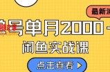 最新闲鱼日入500＋，虚拟资料变现喂饭级讲解