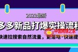 拼多多-新品打爆实操流程：轻松快速拉搜索自然流量，更落地·快速提升!