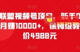 视频号项目：新手0基础轻松月赚10000+，保姆级教程（原价4988元）