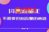 抖音流量王，不需要担心流量的赛道，美女图文音乐号升级玩法（附实操+养号流程）