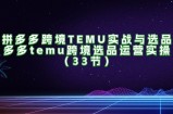 拼多多平台跨境电商TEMU实战演练与选款，多多的temu跨境电商选款经营实际操作（33节）