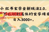 小红书玄学全新玩法2.0，一个可以做到退休的玄学项目，日入3000+【揭秘】