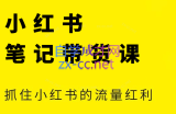 张宾·小红书笔记带货课(更新3月学员分享)