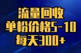 流量回收，单粉价格5-10，每天300+，轻松月入五位数