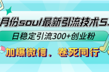 （12772期）9月份soul最新引流技术5.0，日稳定引流300+创业粉，加爆微信，卷死同行