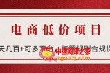 电商低价赔FU项目：一天几百+可多平台，按照规则合规操作！