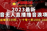 2023最新抖音无人直播撸音浪项目，0粉丝每天1小时，一个号一天1500-2000元