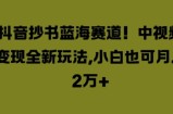 抖音抄书蓝海赛道，中视频变现全新玩法，小白也可月入2W+