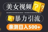 搬运tk美女视频全网分发，日引s粉300+，轻松变现，不限流量不封号【揭秘】