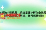 自然流IP训练营，系统掌握IP孵化全流程，也能学到选题，剪辑，账号运营经验