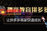 趣尚教育·拼多多运营实操VIP特训营，让拼多多商家快速成长-价值3180元