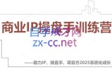【2025】IP流量操盘手线上训练营(更新4月)