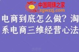 电商到底怎么做？淘系电商三维经营心法