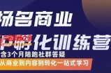 王杨名老师商业IP孵化训练营：从商业到内容到转化一站式学（价值5980元）