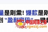 电商盈利精品课：6大盈利密码让产品更好卖，流量是刚需！爆款是刚需！找到”盈利密码”一键起爆