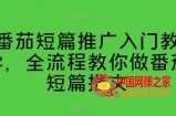 番茄短篇推广入门教学，全流程教你做番茄短篇推文