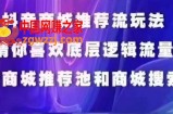 抖音商城运营课程，猜你喜欢入池商城搜索商城推荐人群标签覆盖