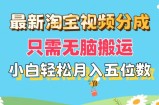 （11744期）最新淘宝视频分成，只需无脑搬运，小白也能轻松月入五位数，可矩阵批量…