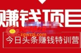 今日头条项目玩法，头条中视频项目，单号收益在50—500可批量