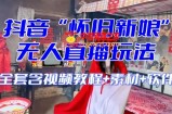 抖音最新最火【怀旧新娘】无人直播整蛊互动玩法（含全套开播教程+软件+视频素材+音效）