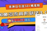 亲测日引50+精准粉，闲鱼引流高阶玩法3.0，实操变现3000元【揭秘】