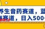 养生音药赛道，蓝海赛道，日入500+【揭秘】