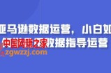 亚马逊数据运营，小白如何学会用数据指导运营