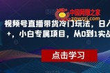 视频号直播带货冷门玩法，日入1000+，小白专属项目，从0到1实战教学【揭秘】