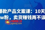 舒老师爆款产品文案课：10天涨粉1.5w粉，卖货赚钱两不误