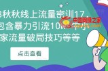 2023秋秋线上流量密训17.0：包含暴力引流10W+中小卖家流量破局技巧等等
