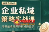 私域2.0时代：企业私域策略实战课，培养能拿结果的私域操盘手