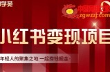 小红书虚拟资源变现项目，一起捞钱掘金价值1099元