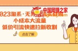 （7818期）2023淘宝·无边引流方法实战演练班：低成本高流量，低价引流迅速引流收种