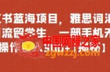 小红书蓝海项目，雅思词汇资料引流留学生，一部手机无脑操作日入300+【揭秘】