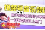 视频号音乐领域项目玩法，操作简单基本和书单号一样，特别容易上热门【揭秘】