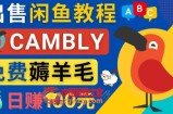 闲鱼赚钱小技巧，每单净赚10元，日赚100元-出售Cambly注册教程