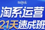 淘系运营21天速成班(更新25年4月)，0基础轻松搞定淘系运营，不做假把式